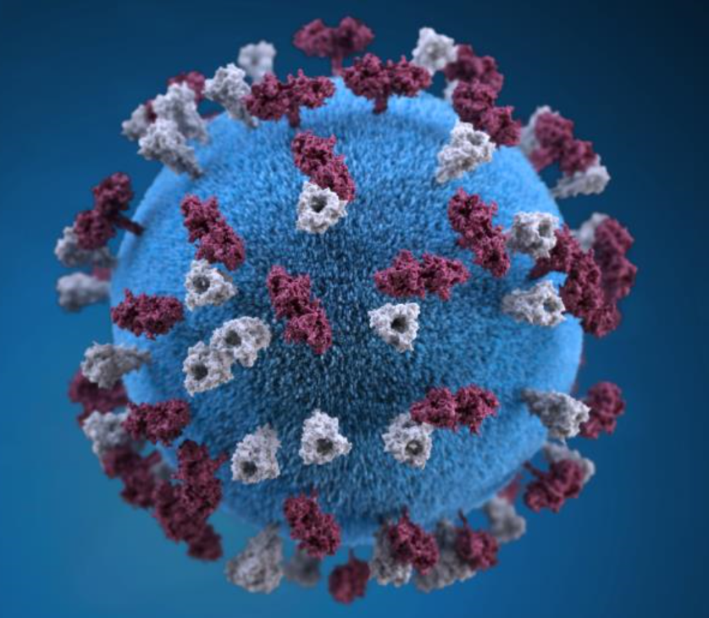 Measles Virus Photo - Access Health Louisiana